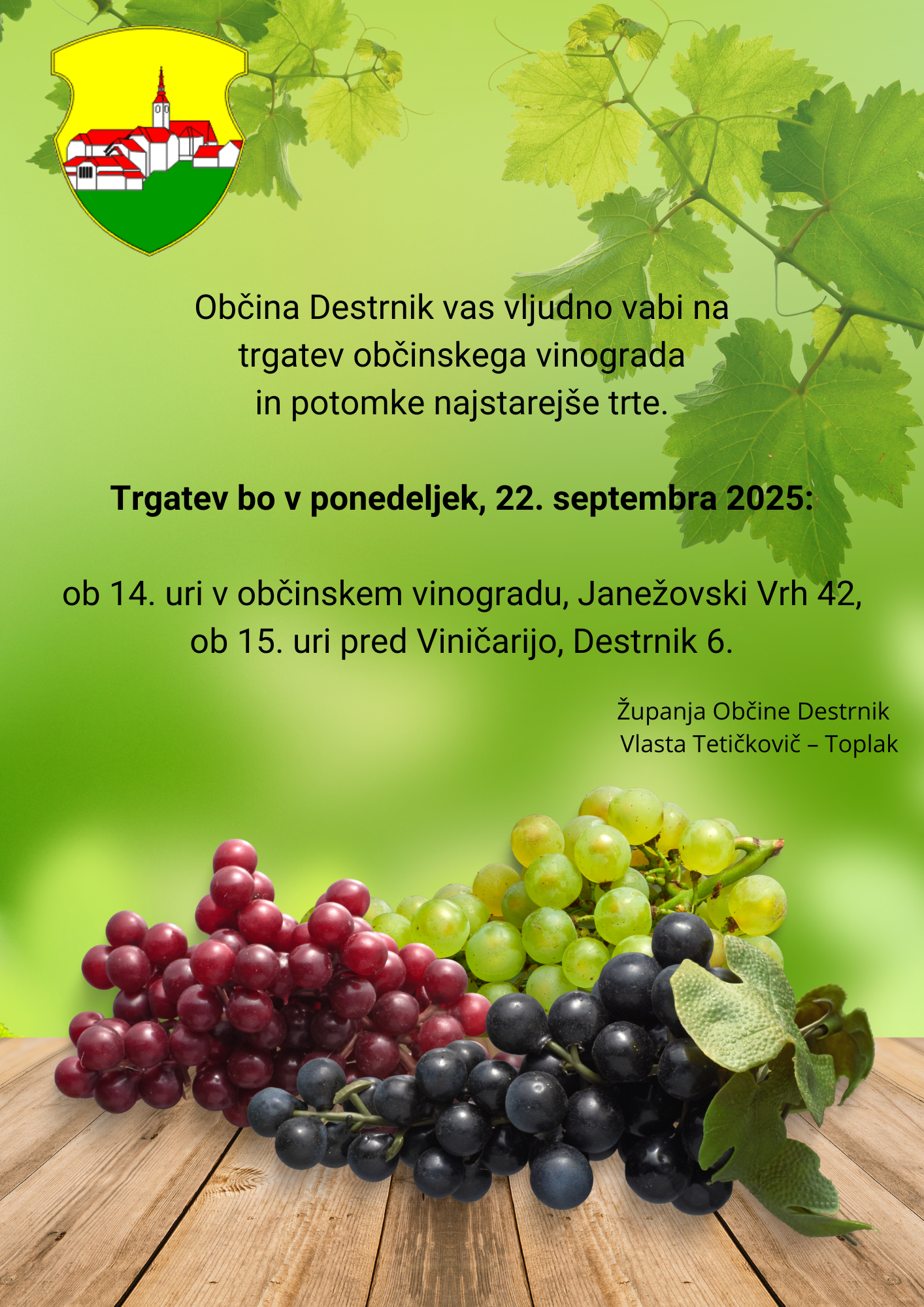 Vabilo-trgatev občinski vinograd_potomka viničarija 22.9.2025